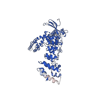 9117_6mhs_D_v1-2
Structure of the human TRPV3 channel in a putative sensitized conformation