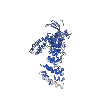 9117_6mhs_D_v1-3
Structure of the human TRPV3 channel in a putative sensitized conformation