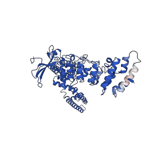 9119_6mhv_A_v1-2
Structure of human TRPV3 in the presence of 2-APB in C4 symmetry