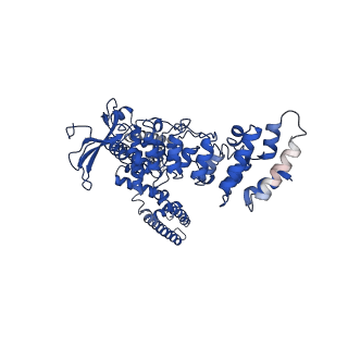 9119_6mhv_A_v1-3
Structure of human TRPV3 in the presence of 2-APB in C4 symmetry