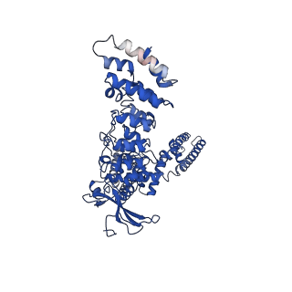 9119_6mhv_B_v1-2
Structure of human TRPV3 in the presence of 2-APB in C4 symmetry