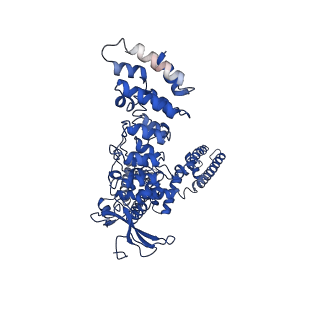 9119_6mhv_B_v1-3
Structure of human TRPV3 in the presence of 2-APB in C4 symmetry