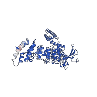 9119_6mhv_C_v1-2
Structure of human TRPV3 in the presence of 2-APB in C4 symmetry