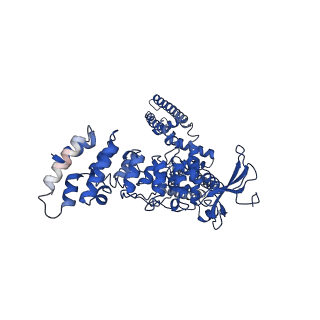 9119_6mhv_C_v1-3
Structure of human TRPV3 in the presence of 2-APB in C4 symmetry