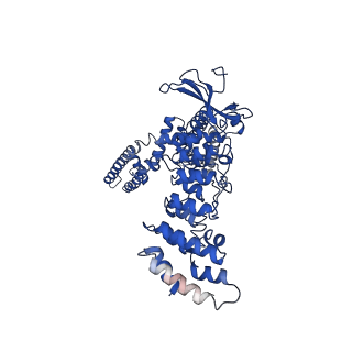 9119_6mhv_D_v1-2
Structure of human TRPV3 in the presence of 2-APB in C4 symmetry