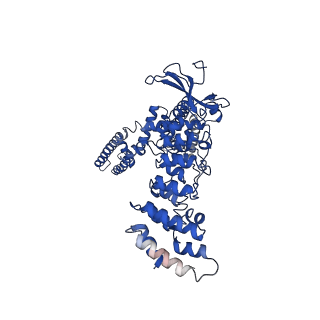 9119_6mhv_D_v1-3
Structure of human TRPV3 in the presence of 2-APB in C4 symmetry