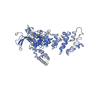 9120_6mhw_A_v1-2
Structure of human TRPV3 in the presence of 2-APB in C2 symmetry (1)