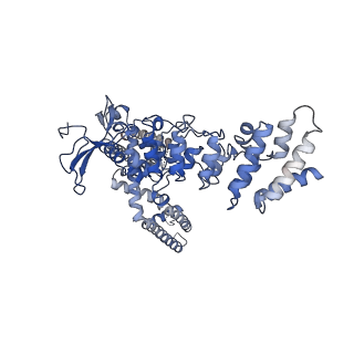 9120_6mhw_A_v1-3
Structure of human TRPV3 in the presence of 2-APB in C2 symmetry (1)