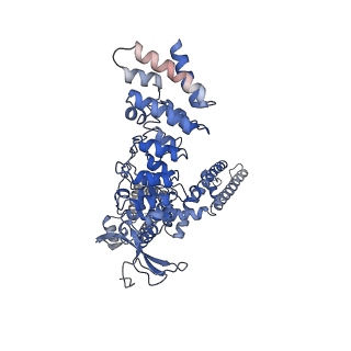 9120_6mhw_B_v1-2
Structure of human TRPV3 in the presence of 2-APB in C2 symmetry (1)