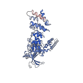 9120_6mhw_B_v1-3
Structure of human TRPV3 in the presence of 2-APB in C2 symmetry (1)