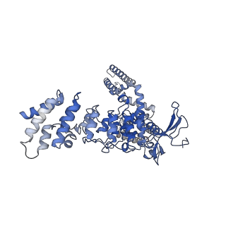 9120_6mhw_C_v1-2
Structure of human TRPV3 in the presence of 2-APB in C2 symmetry (1)