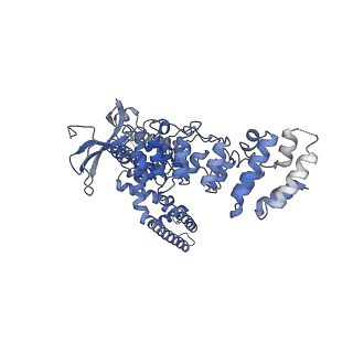 9121_6mhx_A_v1-3
Structure of human TRPV3 in the presence of 2-APB in C2 symmetry (2)