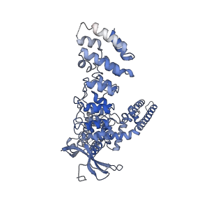 9121_6mhx_B_v1-2
Structure of human TRPV3 in the presence of 2-APB in C2 symmetry (2)