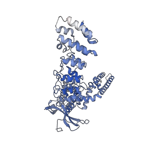 9121_6mhx_B_v1-3
Structure of human TRPV3 in the presence of 2-APB in C2 symmetry (2)