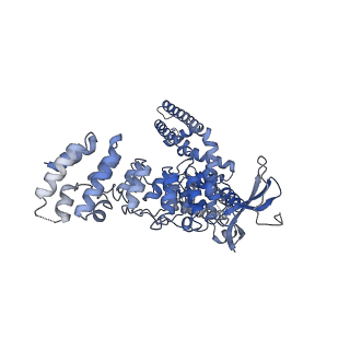 9121_6mhx_C_v1-3
Structure of human TRPV3 in the presence of 2-APB in C2 symmetry (2)