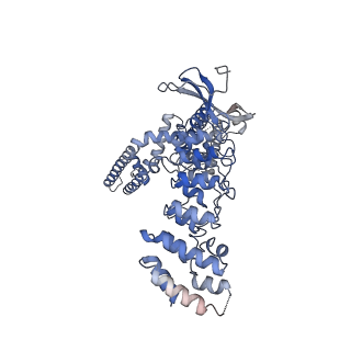 9121_6mhx_D_v1-2
Structure of human TRPV3 in the presence of 2-APB in C2 symmetry (2)