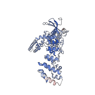 9121_6mhx_D_v1-3
Structure of human TRPV3 in the presence of 2-APB in C2 symmetry (2)