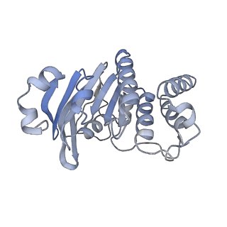9124_6mhz_A_v1-3
Vanadate trapped Cryo-EM Structure of E.coli LptB2FG Transporter
