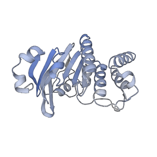 9124_6mhz_A_v1-4
Vanadate trapped Cryo-EM Structure of E.coli LptB2FG Transporter