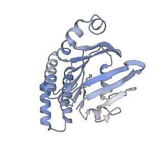 9124_6mhz_B_v1-3
Vanadate trapped Cryo-EM Structure of E.coli LptB2FG Transporter