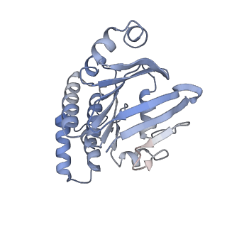 9124_6mhz_B_v1-4
Vanadate trapped Cryo-EM Structure of E.coli LptB2FG Transporter