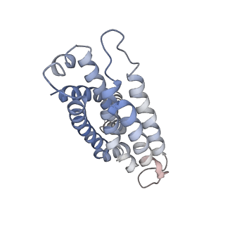 9124_6mhz_F_v1-3
Vanadate trapped Cryo-EM Structure of E.coli LptB2FG Transporter