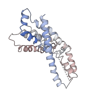 9124_6mhz_G_v1-3
Vanadate trapped Cryo-EM Structure of E.coli LptB2FG Transporter