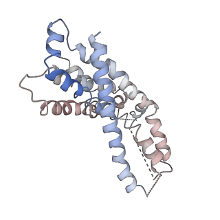 9124_6mhz_G_v1-4
Vanadate trapped Cryo-EM Structure of E.coli LptB2FG Transporter