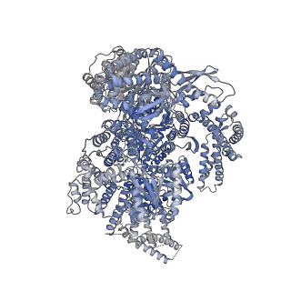 23841_7mi6_A_v1-2
Yeast dynein motor domain in the presence of a pyrazolo-pyrimidinone-based compound, Model 1