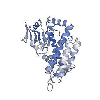 23847_7mid_B_v1-0
Sub-complex of Cas4-Cas1-Cas2 bound PAM containing DNA