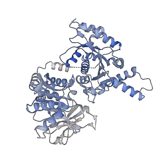 23848_7mif_C_v1-0
Human CTPS1 bound to inhibitor R80