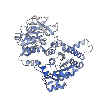 23848_7mif_G_v1-0
Human CTPS1 bound to inhibitor R80