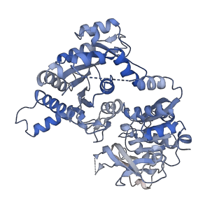 23848_7mif_H_v1-0
Human CTPS1 bound to inhibitor R80