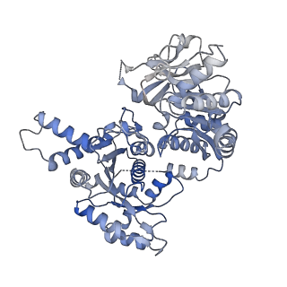 23848_7mif_I_v1-0
Human CTPS1 bound to inhibitor R80