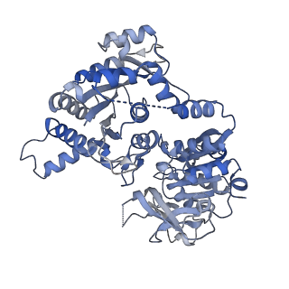23850_7mig_B_v1-0
Human CTPS1 bound to inhibitor T35