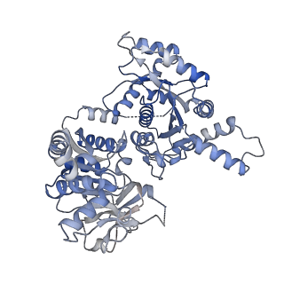 23850_7mig_C_v1-0
Human CTPS1 bound to inhibitor T35