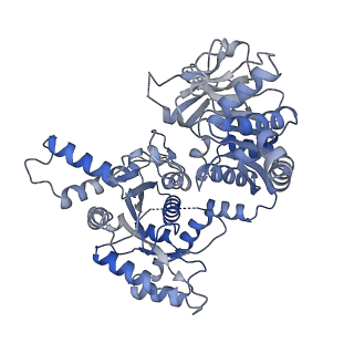 23850_7mig_E_v1-0
Human CTPS1 bound to inhibitor T35