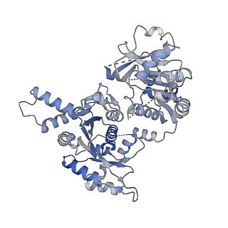 23852_7mii_E_v1-0
Human CTPS2 bound to inhibitor T35