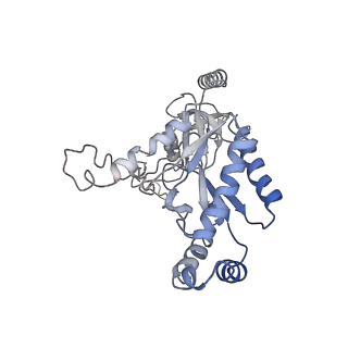 23868_7miy_C_v1-3
Human N-type voltage-gated calcium channel Cav2.2 at 3.1 Angstrom resolution
