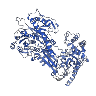 23868_7miy_D_v1-3
Human N-type voltage-gated calcium channel Cav2.2 at 3.1 Angstrom resolution