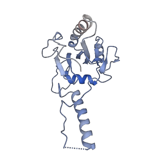 23869_7miz_i_v1-1
Atomic structure of cortical microtubule from Toxoplasma gondii