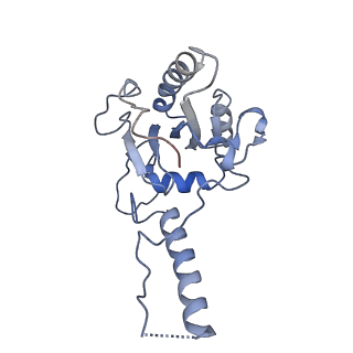 23869_7miz_j_v1-1
Atomic structure of cortical microtubule from Toxoplasma gondii