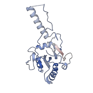 23869_7miz_u_v1-1
Atomic structure of cortical microtubule from Toxoplasma gondii
