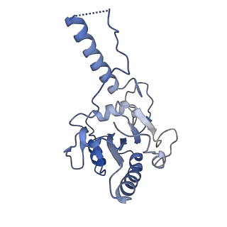 23869_7miz_v_v1-1
Atomic structure of cortical microtubule from Toxoplasma gondii