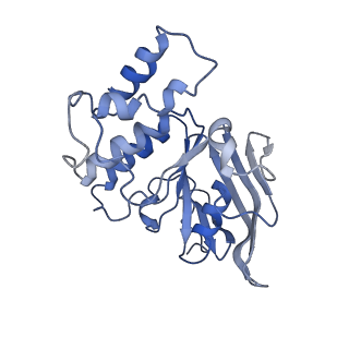 9125_6mi7_A_v1-3
Nucleotide-free Cryo-EM Structure of E.coli LptB2FGC