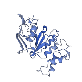 9125_6mi7_B_v1-3
Nucleotide-free Cryo-EM Structure of E.coli LptB2FGC