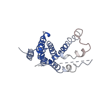9125_6mi7_F_v1-3
Nucleotide-free Cryo-EM Structure of E.coli LptB2FGC