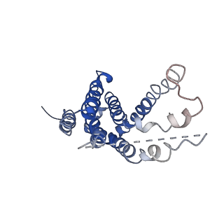 9125_6mi7_F_v1-4
Nucleotide-free Cryo-EM Structure of E.coli LptB2FGC