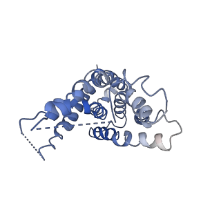 9125_6mi7_G_v1-3
Nucleotide-free Cryo-EM Structure of E.coli LptB2FGC