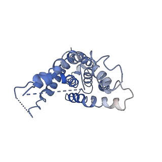 9125_6mi7_G_v1-4
Nucleotide-free Cryo-EM Structure of E.coli LptB2FGC